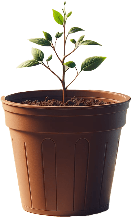 Plastic flowerpot with a young plant